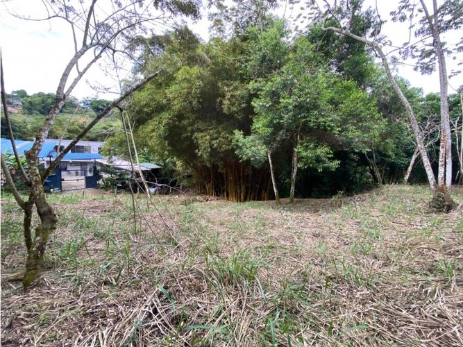 Lote en venta en La Buitrera, Cali, 1500 m² · foto 6 de 10