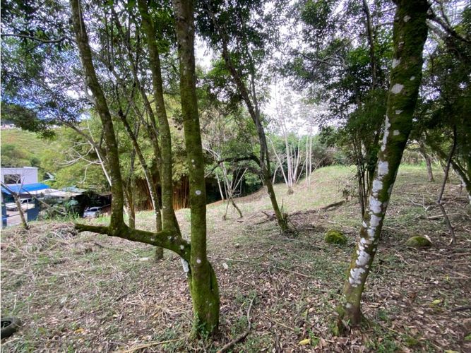 Lote en venta en La Buitrera, Cali, 1500 m² · foto 8 de 10