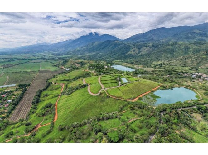 Lote en venta en Tablones, Palmira, 3010 m² · foto 6 de 13