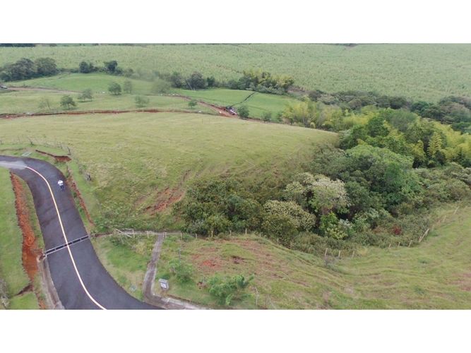 Lote en venta en Tablones, Palmira, 3010 m² · foto 7 de 13