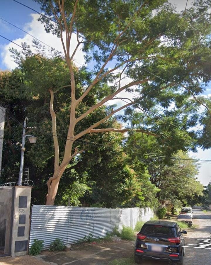 DIVINO TERRENO DE 726 M2 TERRENO ZONA Casa Rica. Las Lomas. 27 MTS DE FRENTE — foto 3