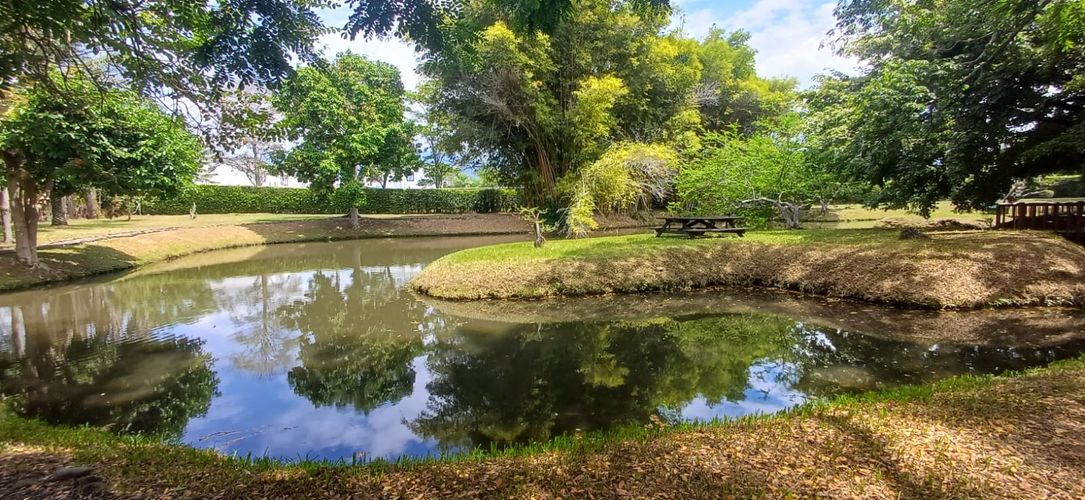 Casa de 4 alcobas en venta en Pance, Cali, 400 m² · foto 23 de 24