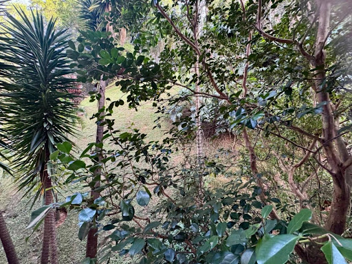 Apartamento en venta en Zuñiga, Envigado · foto 19 de 22