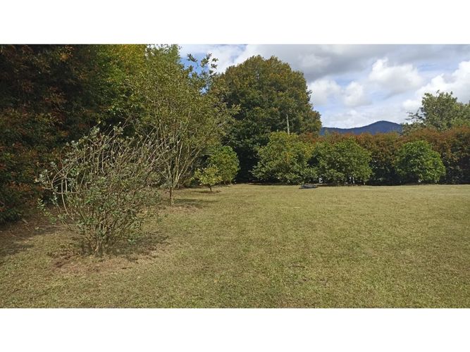 Lote en venta en Guamito, La Ceja, 2500 m² · foto 4 de 11