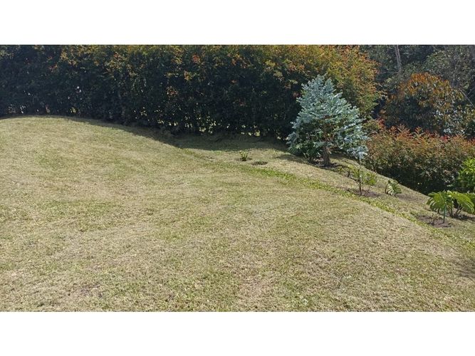 Lote en venta en Guamito, La Ceja, 2500 m² · foto 5 de 11
