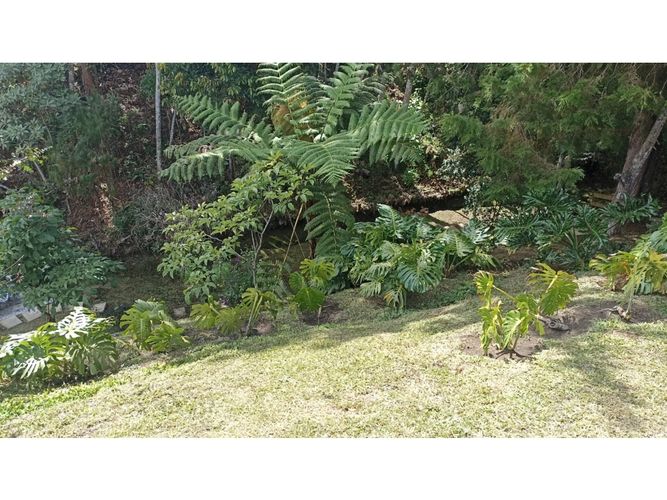 Lote en venta en Guamito, La Ceja, 2500 m² · foto 9 de 11