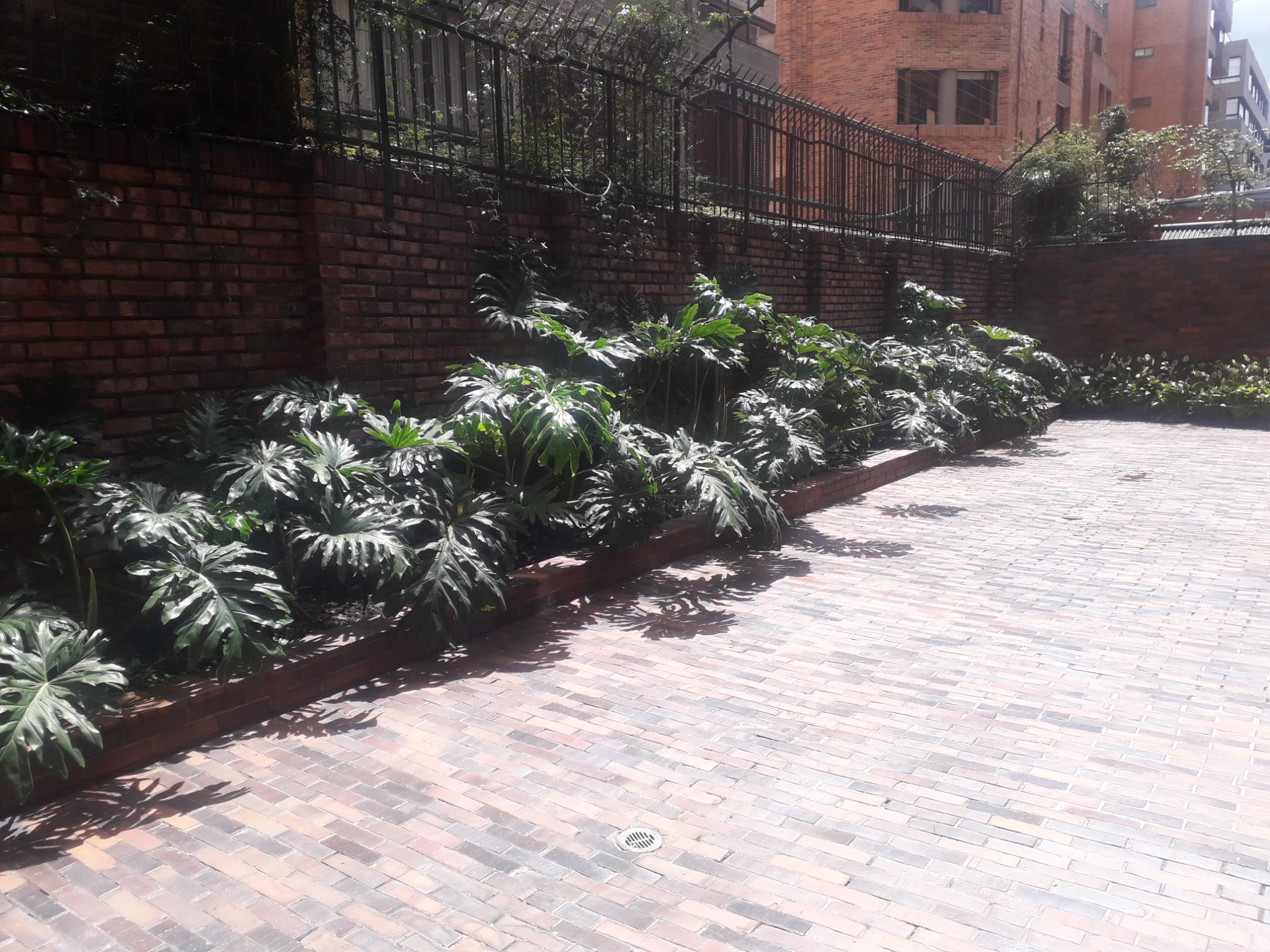 Apartamento en venta en La Carolina, Bogotá · foto 24 de 24