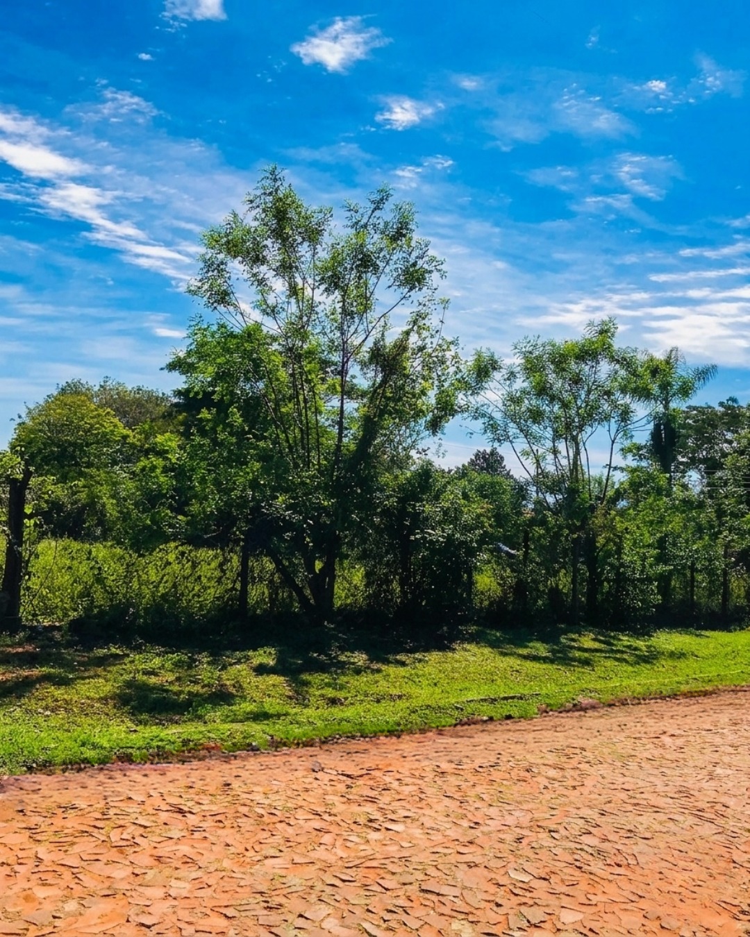 HERMOSO TERRENO DE 500M2 CON VISTA AL CERRO — foto 2