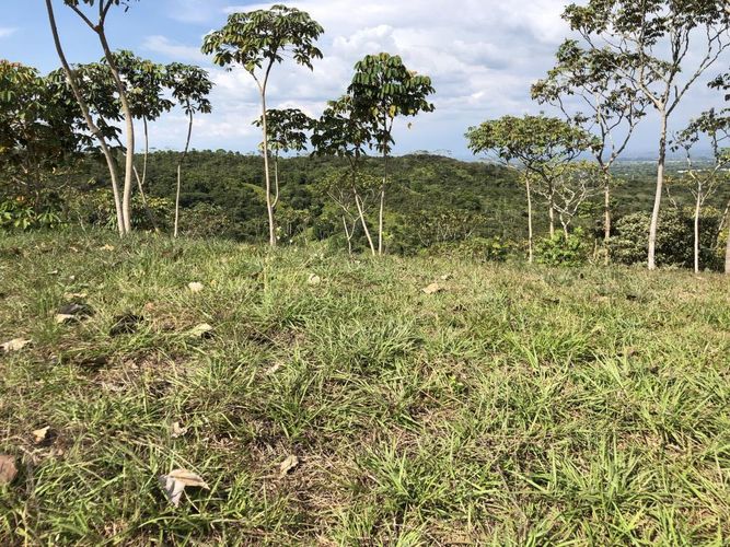 Lote en venta en Pance, Cali, 9698 m² · foto 2 de 5