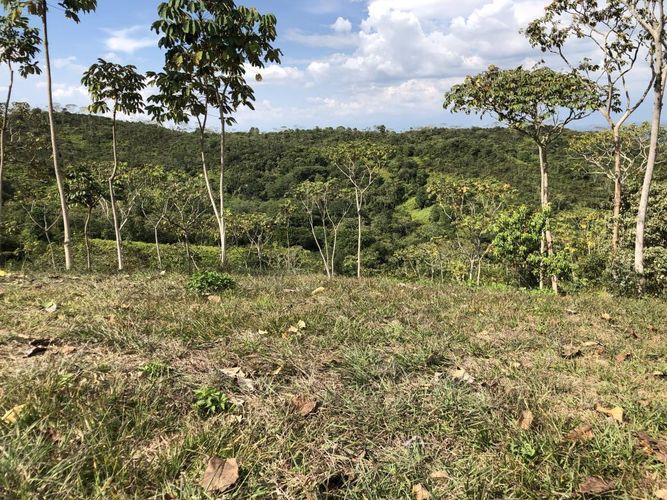 Lote en venta en Pance, Cali, 9698 m² · foto 4 de 5