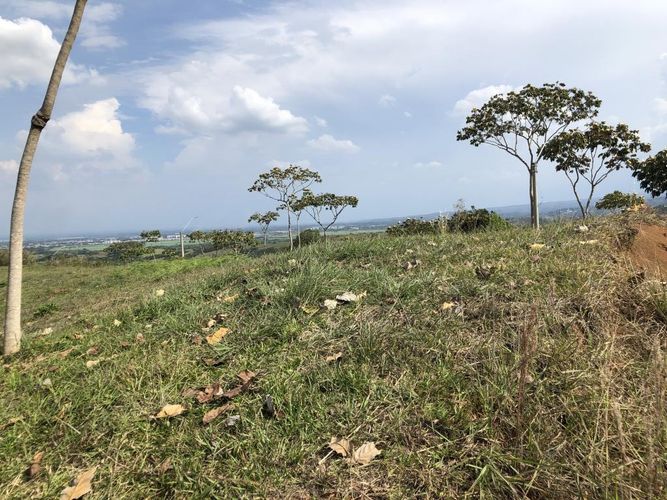 Lote en venta en Pance, Cali, 9698 m² · foto 5 de 5