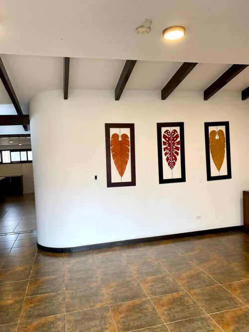 Casa de 4 alcobas en venta en La Arboleda, Cali, 750 m² · foto 6 de 24