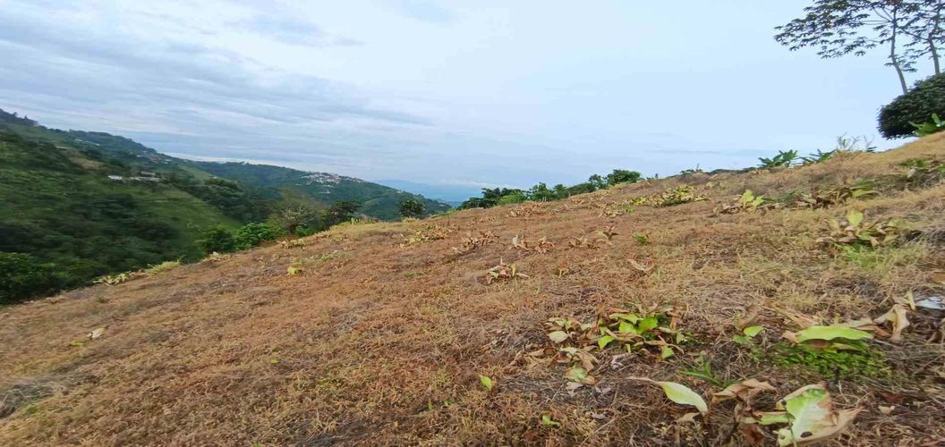 Lote en arriendo en La Linda, Manizales · foto 3 de 22