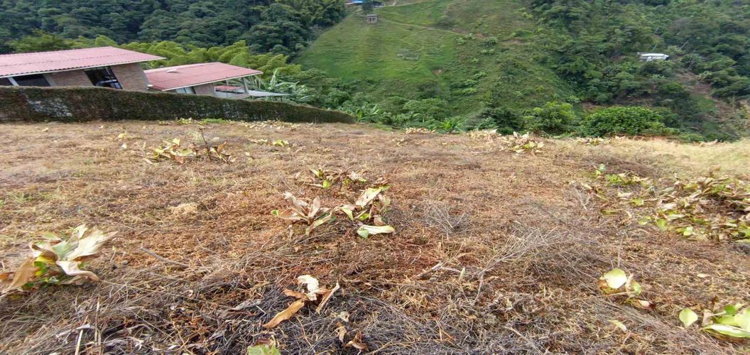 Lote en arriendo en La Linda, Manizales · foto 12 de 22