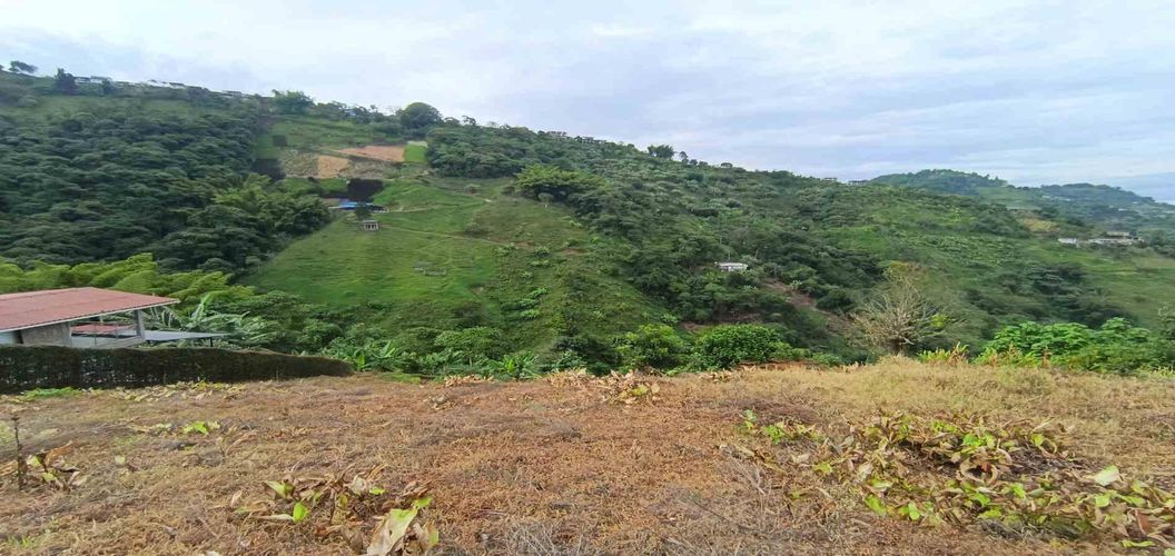 Lote en arriendo en La Linda, Manizales · foto 16 de 22