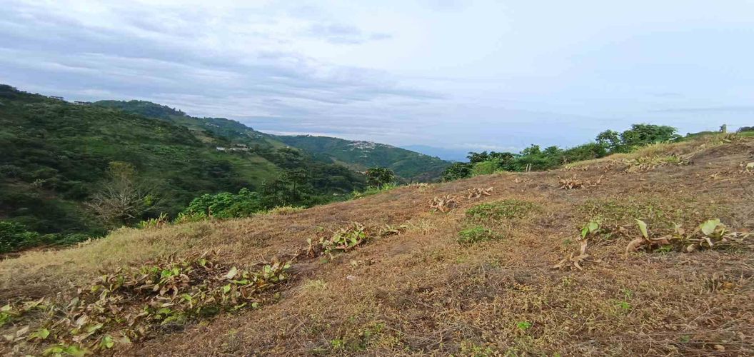 Lote en arriendo en La Linda, Manizales · foto 18 de 22