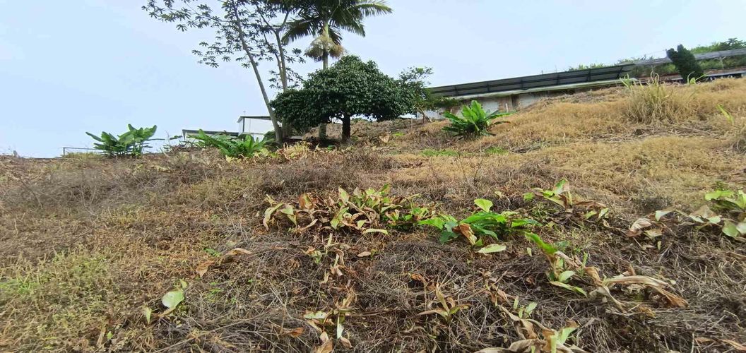 Lote en arriendo en La Linda, Manizales · foto 21 de 22
