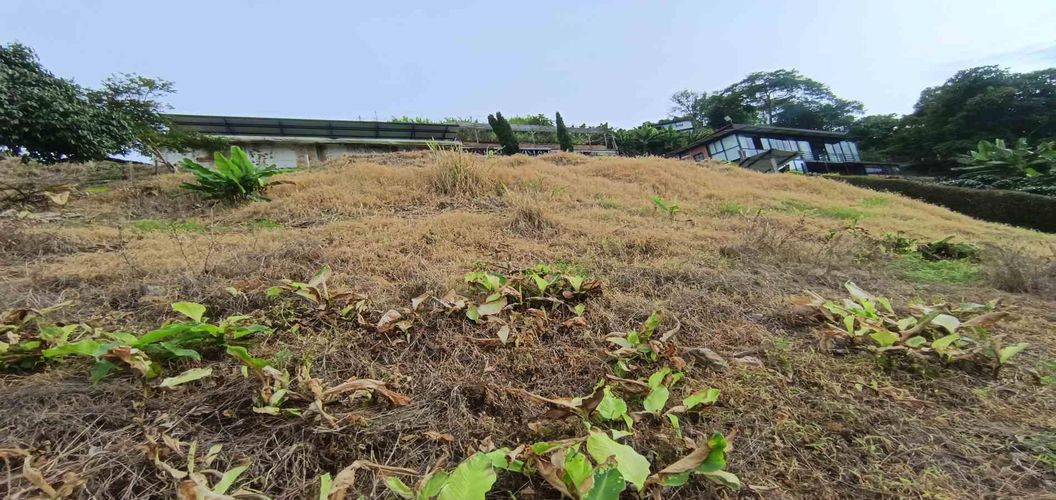 Lote en arriendo en La Linda, Manizales · foto 22 de 22