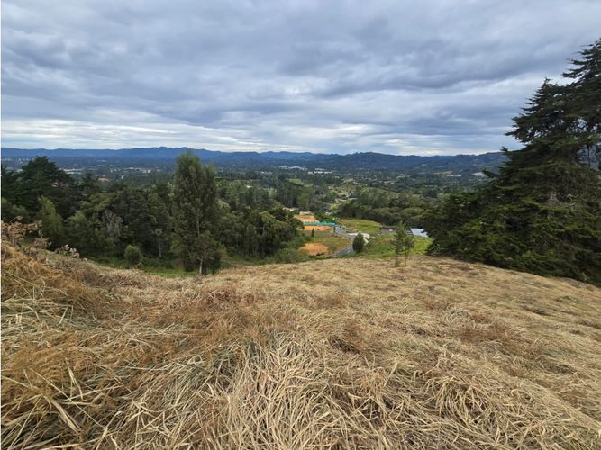 Lote en venta en La Convencion, Rionegro, 2600 m² · foto 9 de 13