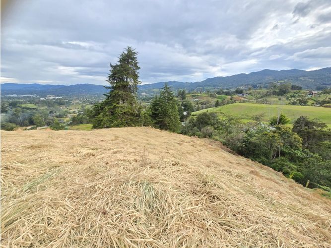 Lote en venta en La Convencion, Rionegro, 2600 m² · foto 11 de 13