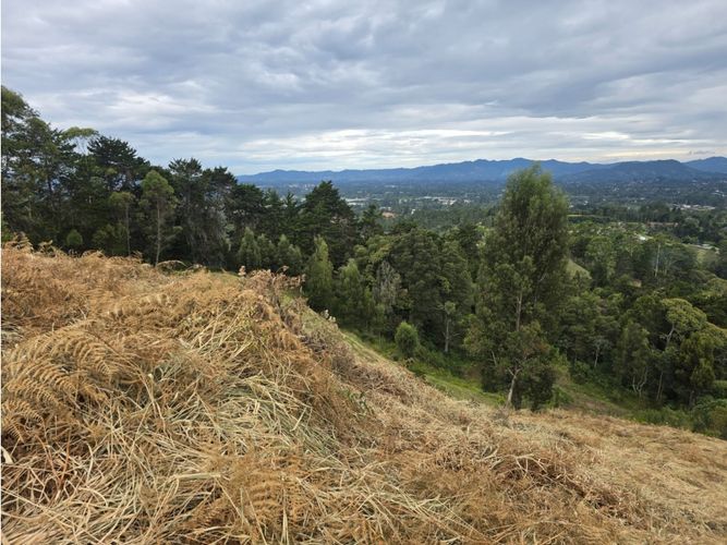 Lote en venta en La Convencion, Rionegro, 2600 m² · foto 12 de 13
