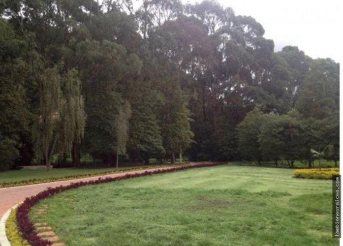 Lote en venta en Chuntame, Cajicá, 4500 m² · foto 4 de 7