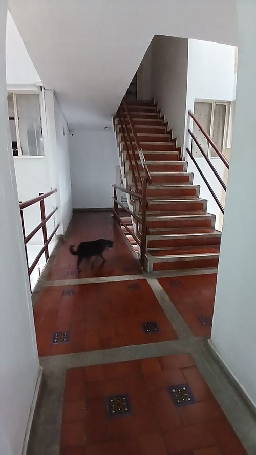 Apartamento en venta en Prado Veraniego, Bogotá · foto 2 de 23