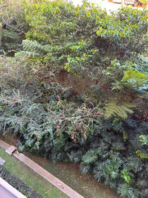 Apartaestudio en venta en Rionegro, 56 m² · foto 17 de 17