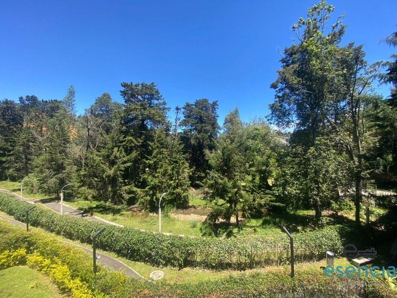 Apartamento en arriendo en Llano Grande, Rionegro · foto 15 de 17