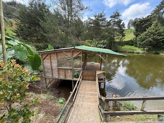 Finca en venta en El Retiro, 300 m² · foto 14 de 22