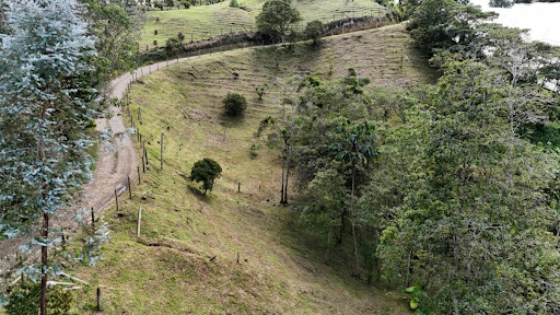 Land in Lejos del nido for Sale - 2