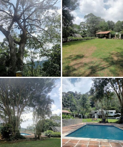 Lote en venta en La Felidia, Cali, 32000 m² · foto 2 de 4