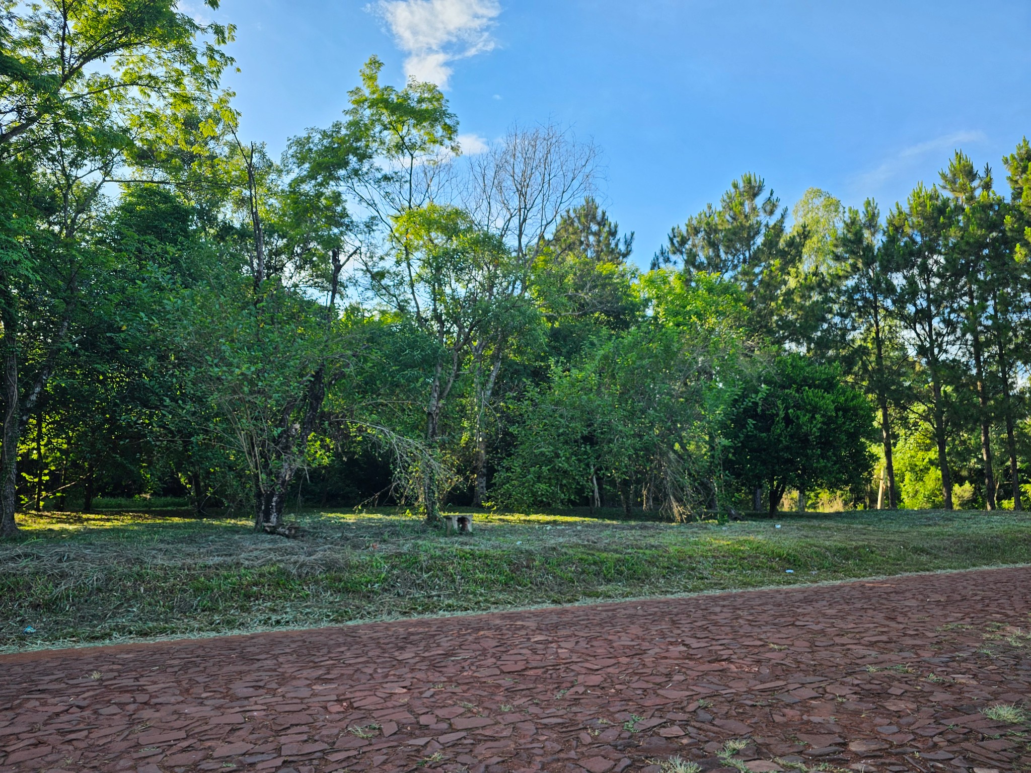 EN VENTA: Exclusivo Terreno en Fracción Altas Cumbres (Hohenau) – ¡Tu Refugio Soñado en la Naturaleza! — foto 2