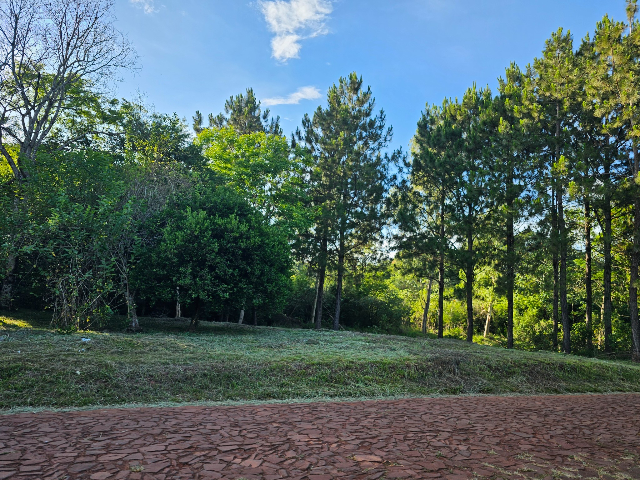 EN VENTA: Exclusivo Terreno en Fracción Altas Cumbres (Hohenau) – ¡Tu Refugio Soñado en la Naturaleza! — foto 3