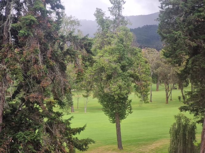 Apartamento de 1 alcoba en venta en La Carolina, Bogotá, 135 m² · foto 15 de 24