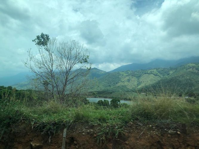 Lote en venta en Palmaseca, Palmira, 3000 m² · foto 2 de 15
