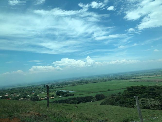 Lote en venta en Palmaseca, Palmira, 3000 m² · foto 3 de 15