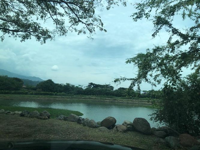 Lote en venta en Palmaseca, Palmira, 3000 m² · foto 4 de 15