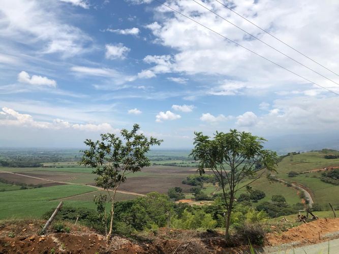Lote en venta en Palmaseca, Palmira, 3000 m² · foto 6 de 15