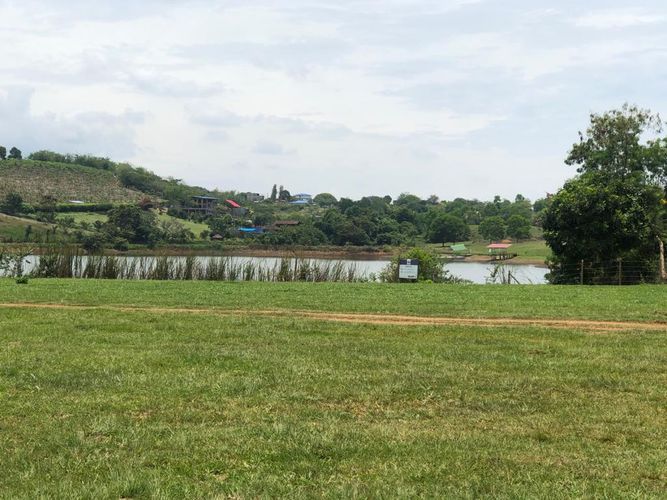 Lote en venta en Palmaseca, Palmira, 3000 m² · foto 8 de 15