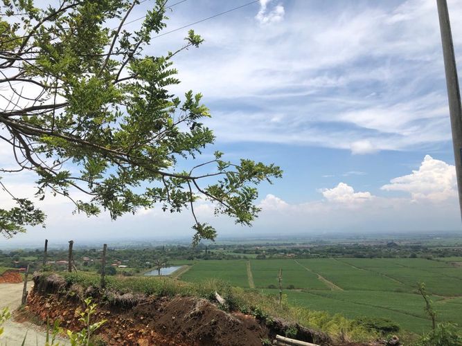 Lote en venta en Palmaseca, Palmira, 3000 m² · foto 9 de 15