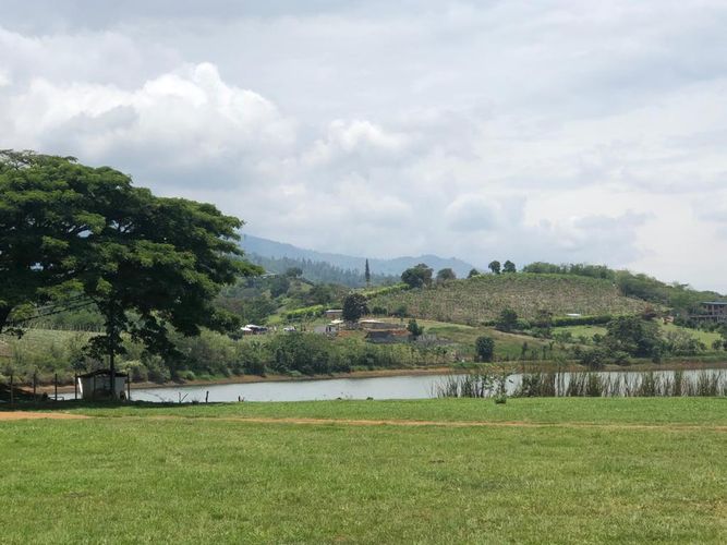 Lote en venta en Palmaseca, Palmira, 3000 m² · foto 11 de 15