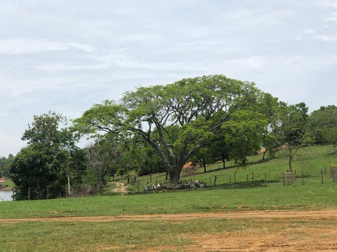 Lote en venta en Palmaseca, Palmira, 3000 m² · foto 12 de 15