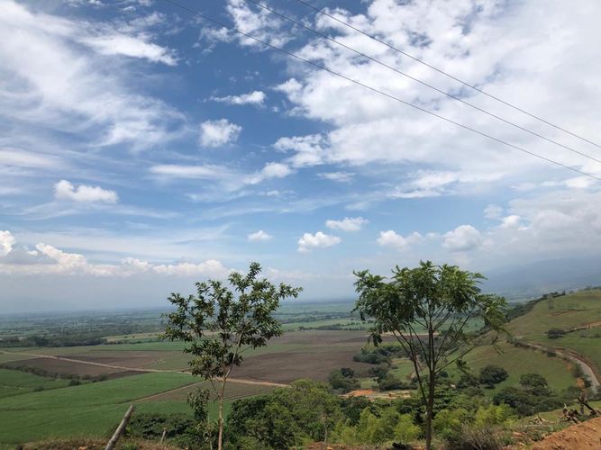 Lote en venta en Palmaseca, Palmira, 3000 m² · foto 13 de 15