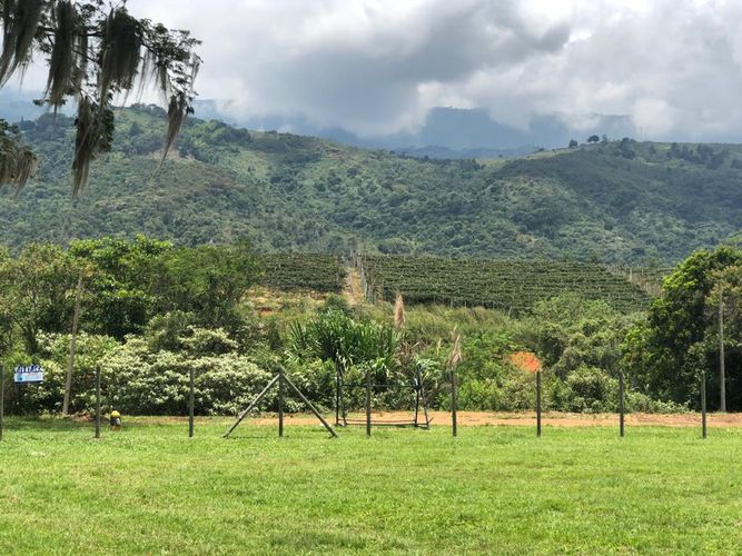 Lote en venta en Palmaseca, Palmira, 3000 m² · foto 14 de 15