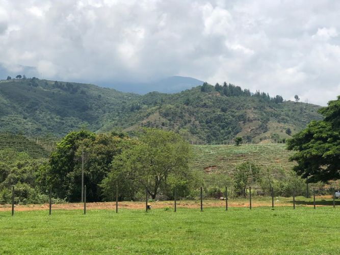 Lote en venta en Palmaseca, Palmira, 3000 m² · foto 15 de 15