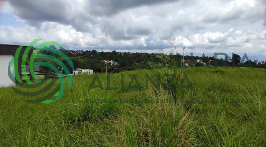 Lote en venta en Ruitoque Alto, Floridablanca, 736 m² · foto 10 de 13