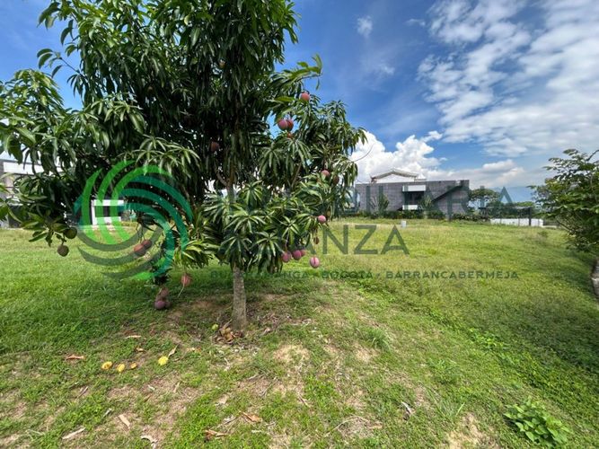 Lote en venta en Ruitoque, Girón, 694 m² · foto 10 de 18