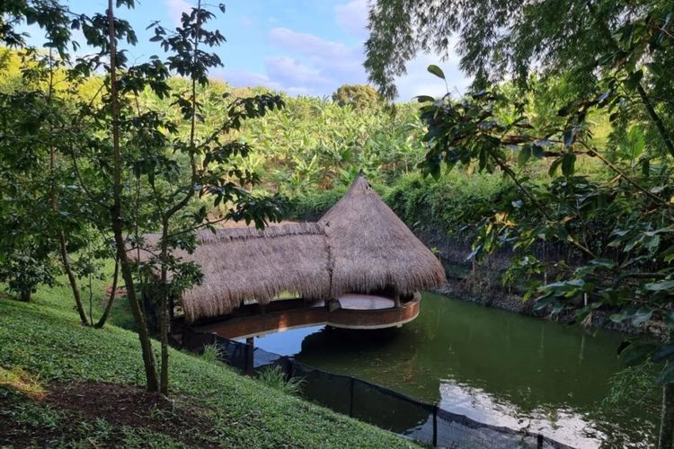 Finca en venta en Pereira, Pereira, 500 m² · foto 10 de 12