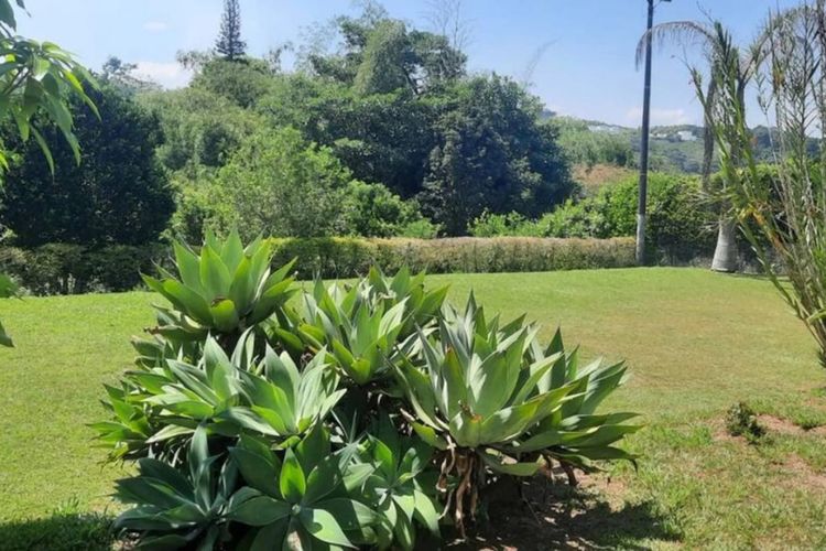 Finca en venta en Pereira, Pereira, 500 m² · foto 11 de 12